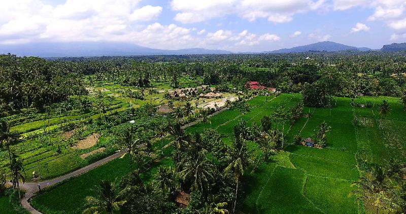 De Klumpu Bali - Lobi