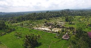De Klumpu Bali fotoÄŸrafÄ±