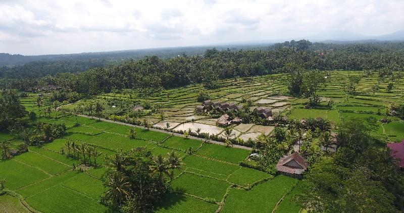 De Klumpu Bali - Lobi