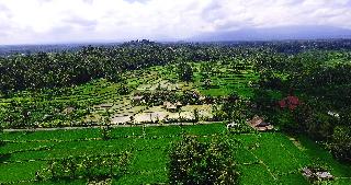 De Klumpu Bali fotoÄŸrafÄ±