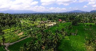 De Klumpu Bali otel fotoğrafı