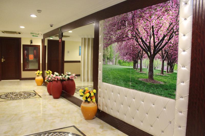 Mariana Hotel - Genel