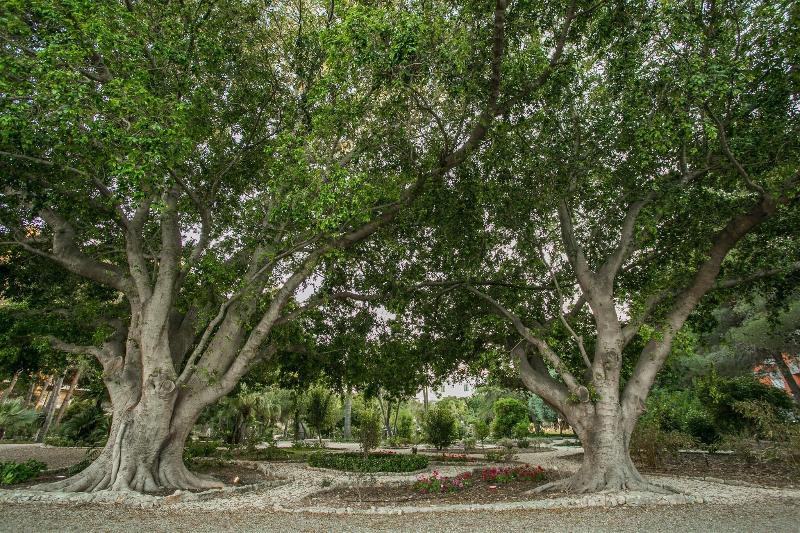 Parco Delle Fontane - Genel