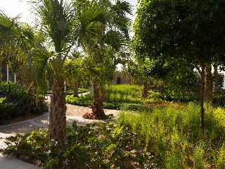 Banyan Tree Dubai fotoÄŸrafÄ±