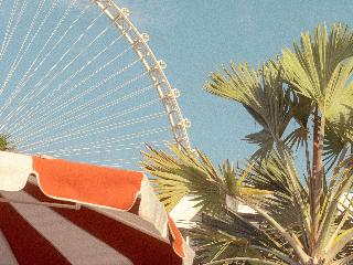 Banyan Tree Dubai fotoÄŸrafÄ±