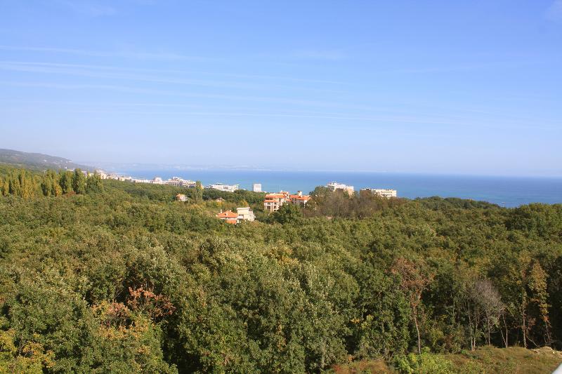 Park Hotel Bellevue Golden Sands - Teras