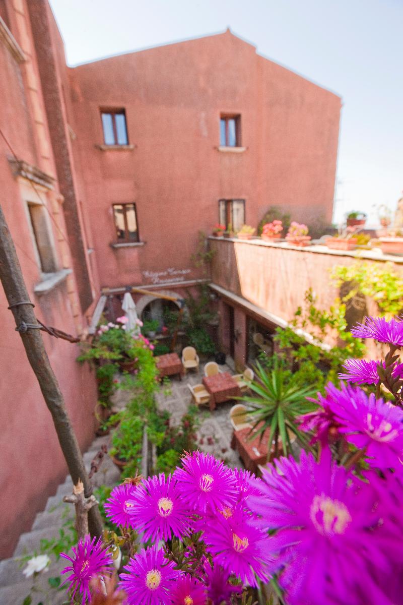 Hotel Elimo - Genel