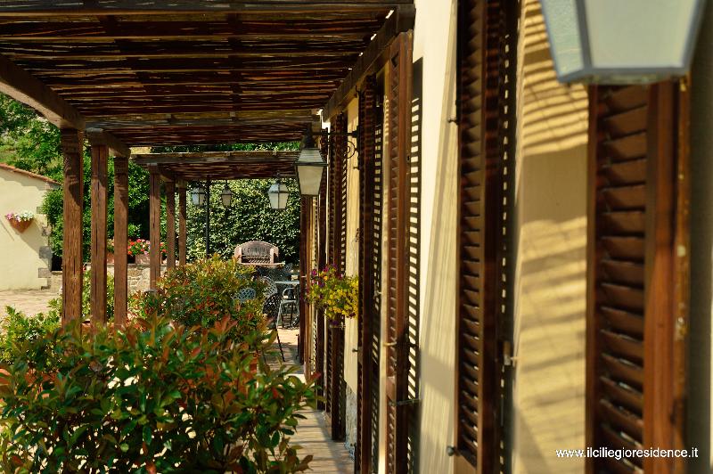Country House Il Ciliegio - Genel