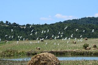 Agriturismo Bio Aia della Colonna fotoÄŸrafÄ±