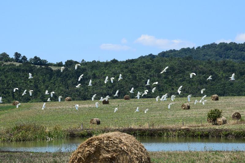 Agriturismo Bio Aia della Colonna - Genel