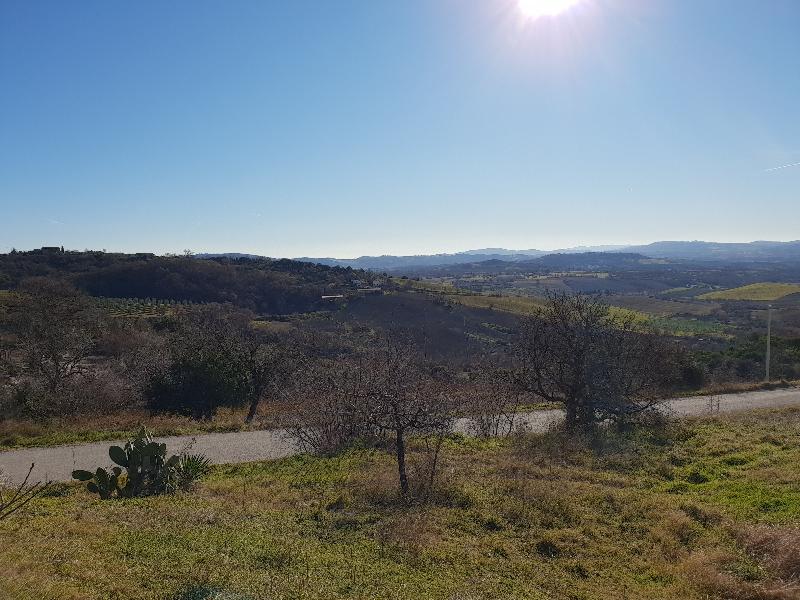 Agriturismo Bio Aia della Colonna - Genel