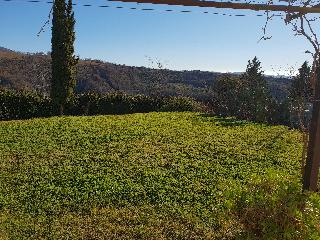 Agriturismo Bio Aia della Colonna fotoÄŸrafÄ±