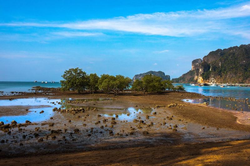 Villa Cha Cha Krabi Beachfront Resort - Plaj