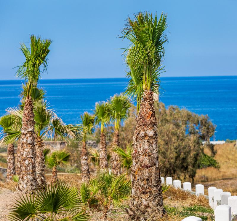 Desiterra Resort - Genel