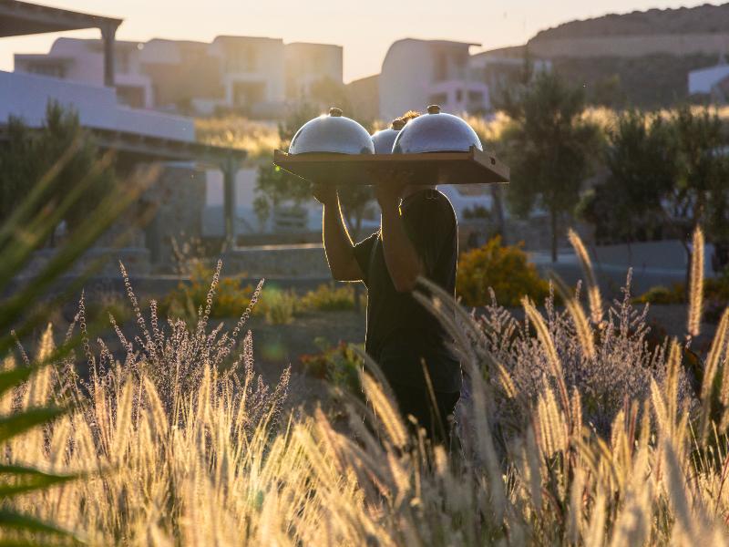 Desiterra Resort - Genel