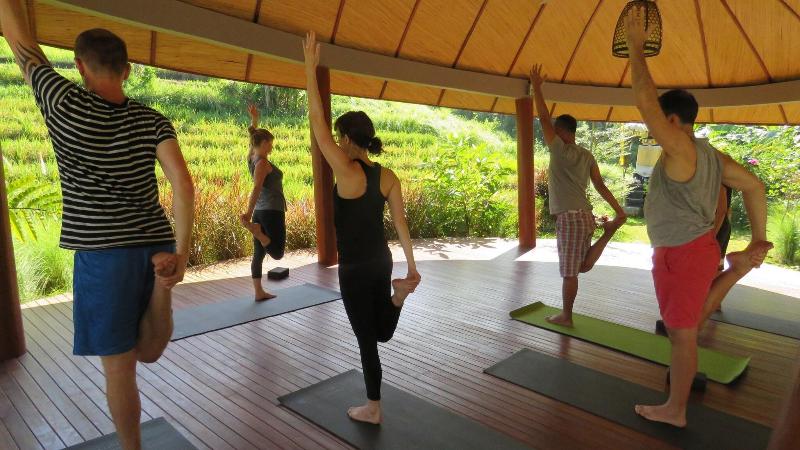 De Moksha Boutique Resort - Aktivite
