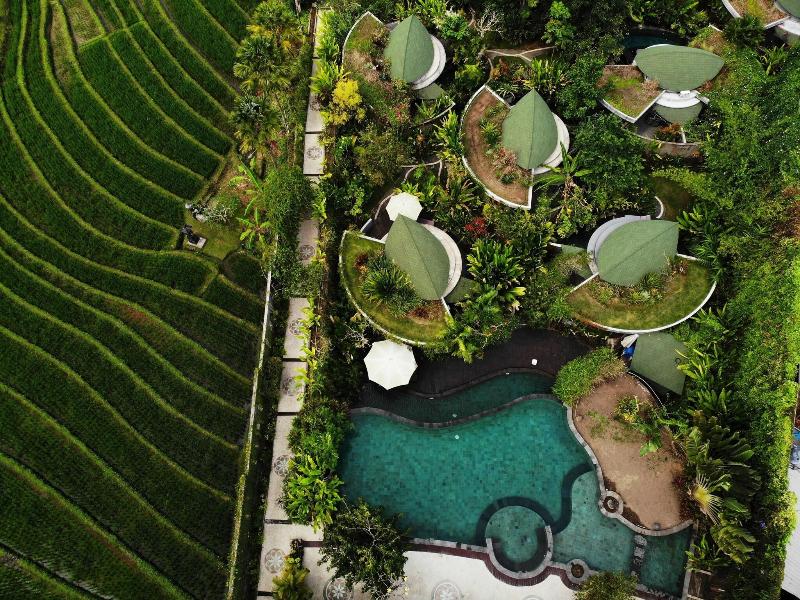 De Moksha Boutique Resort - Genel