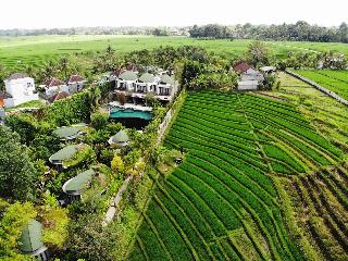 De Moksha Boutique Resort fotoÄŸrafÄ±