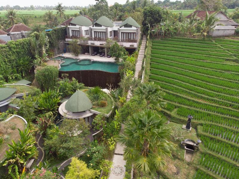 De Moksha Boutique Resort - Genel