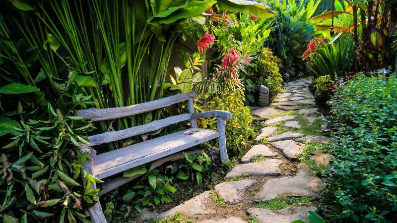 De Moksha Boutique Resort - Genel