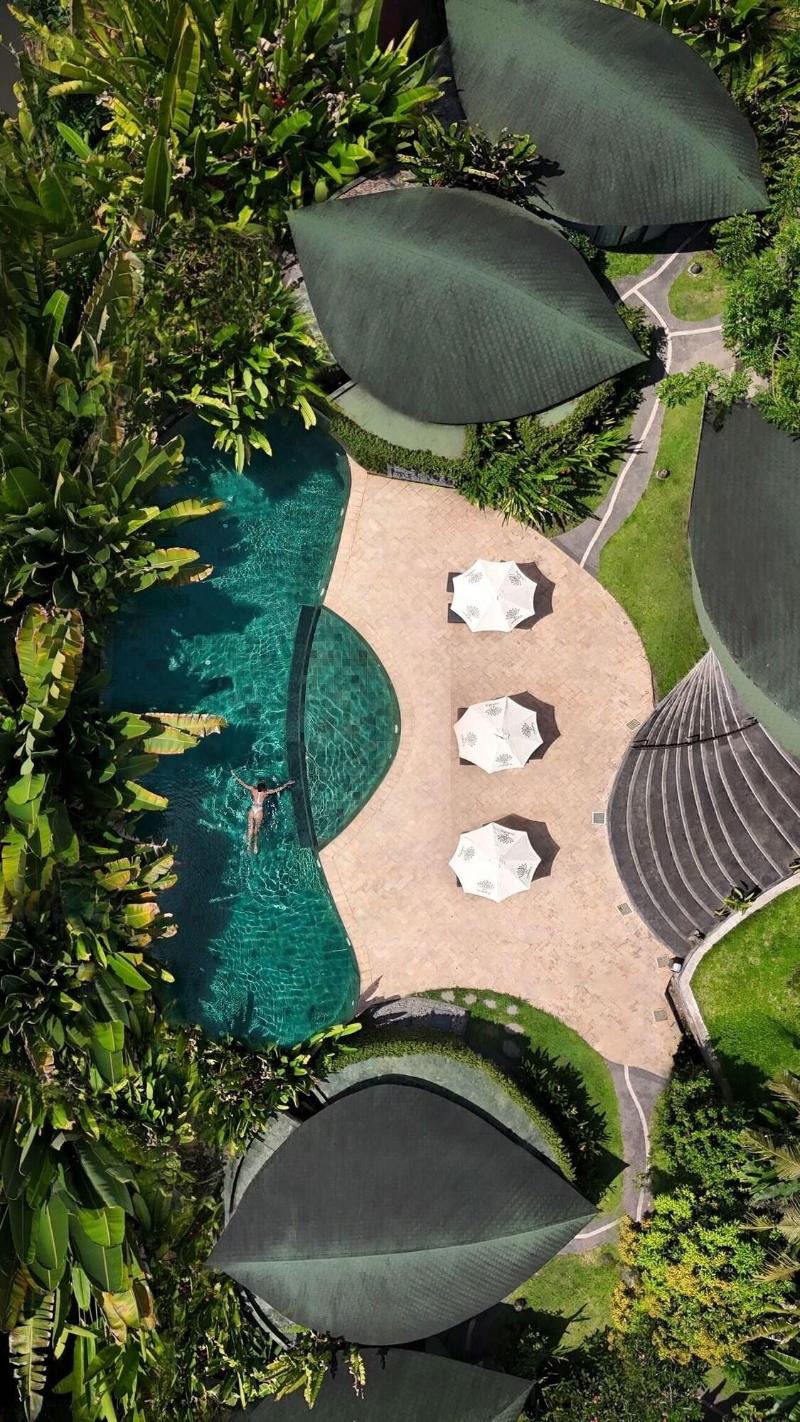 De Moksha Boutique Resort - Genel