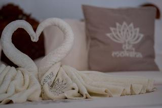 De Moksha Boutique Resort fotoÄŸrafÄ±