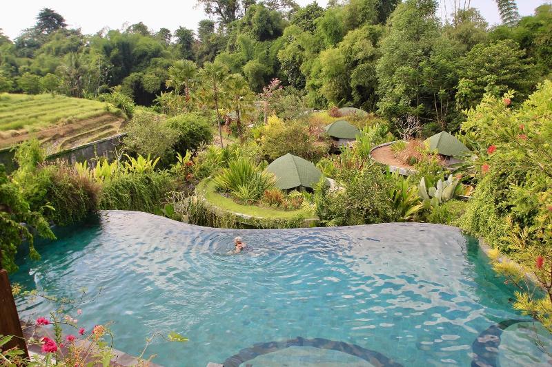 De Moksha Boutique Resort - Havuz