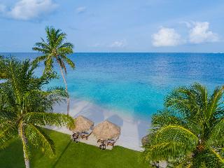Waldorf Astoria Maldives Ithaafushi fotoÄŸrafÄ±