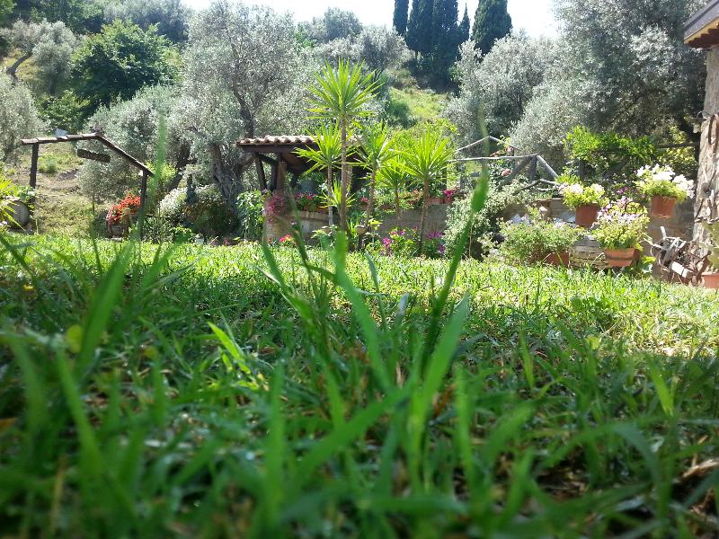 Agriturismo L'Uliveto - Lobi