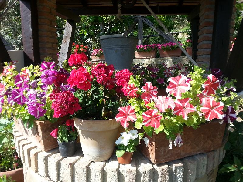 Agriturismo L'Uliveto - Lobi