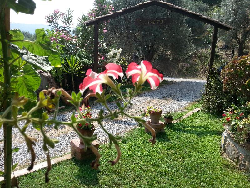 Agriturismo L'Uliveto - Lobi