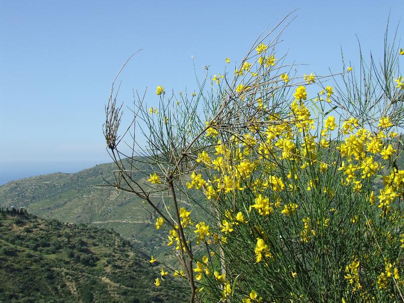 Agriturismo L'Uliveto - Lobi