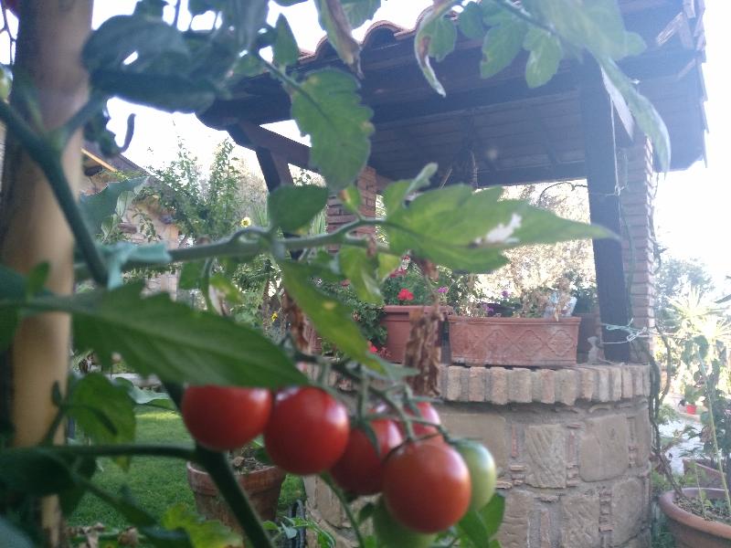 Agriturismo L'Uliveto - Lobi