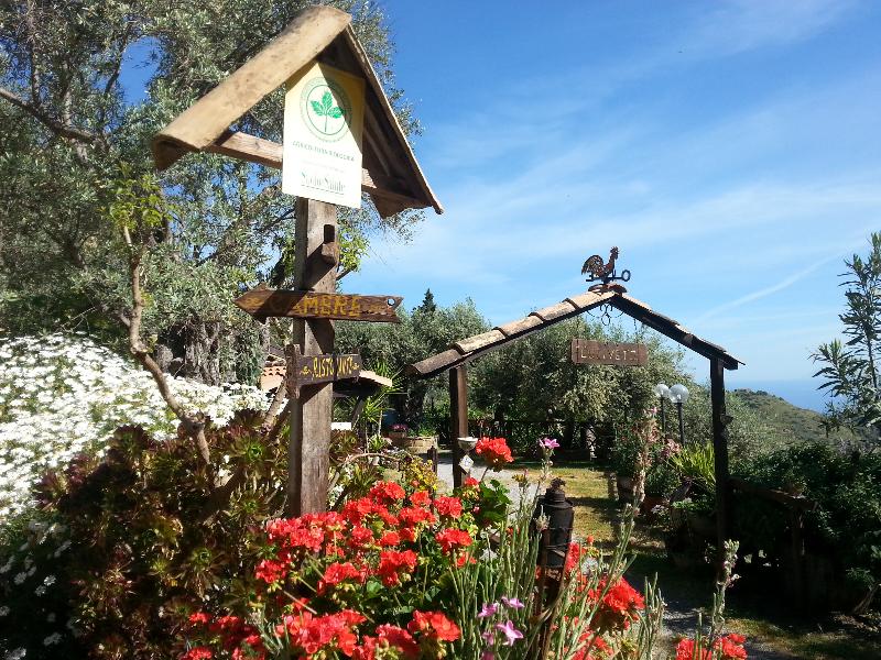 Agriturismo L'Uliveto - Lobi