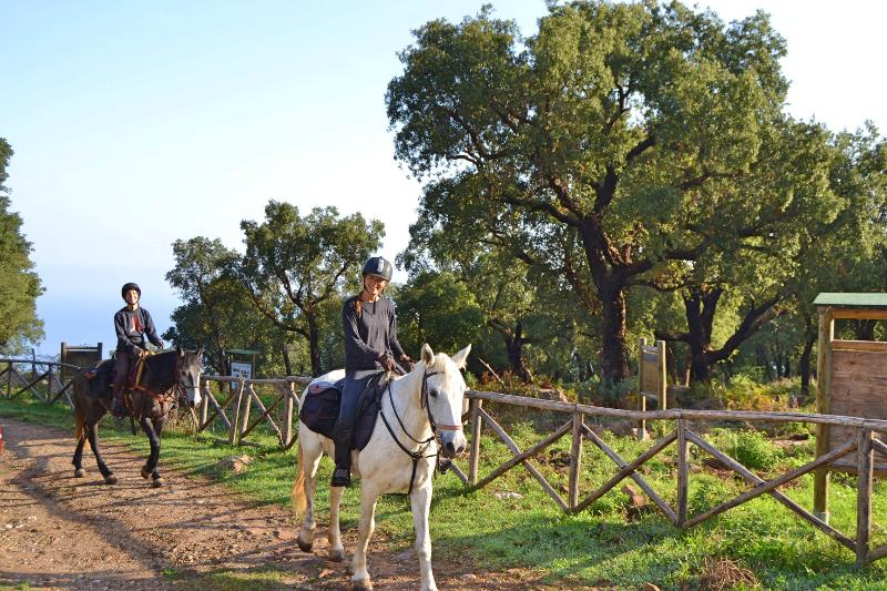 Agriturismo L'Uliveto - Aktivite