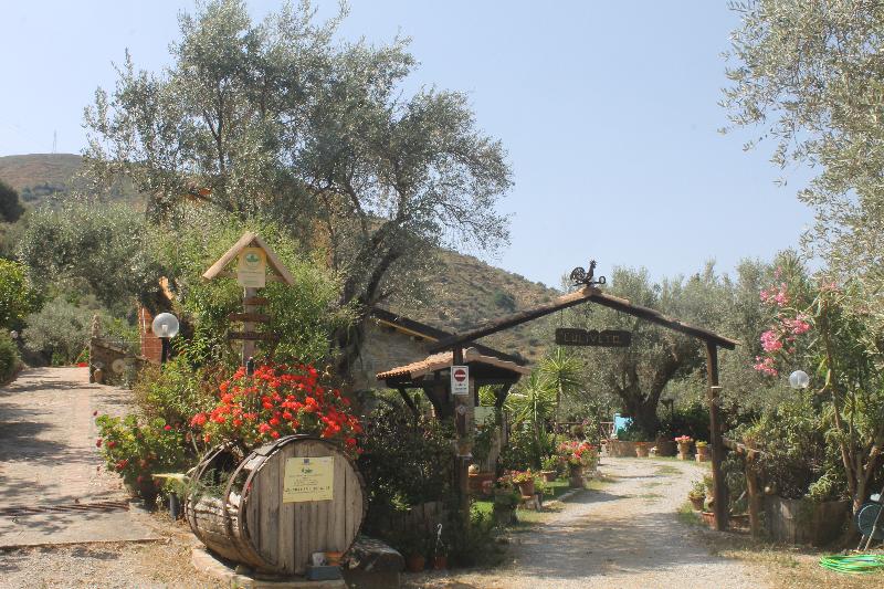Agriturismo L'Uliveto - Teras