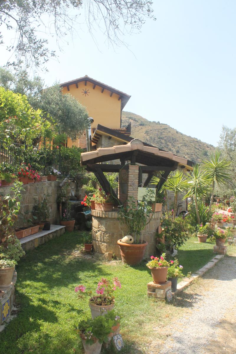 Agriturismo L'Uliveto - Teras