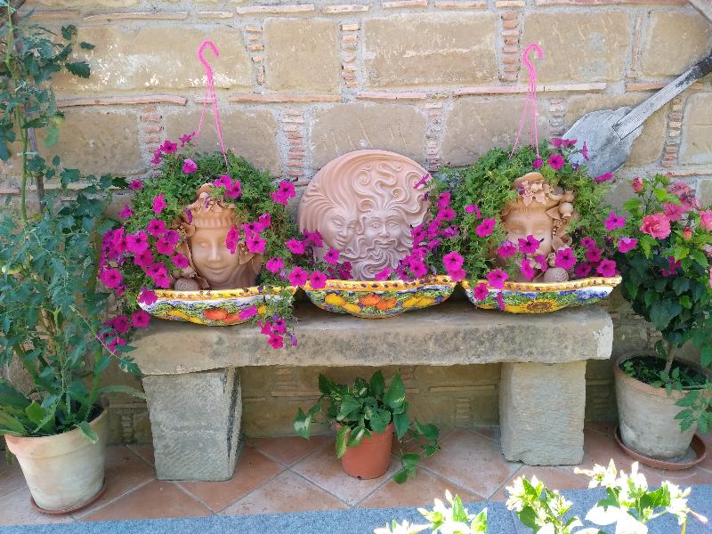 Agriturismo L'Uliveto - Teras