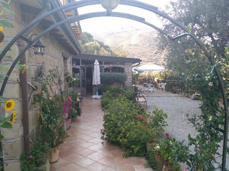 Agriturismo L'Uliveto - Teras