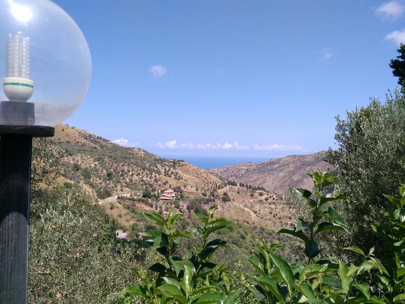 Agriturismo L'Uliveto - Teras