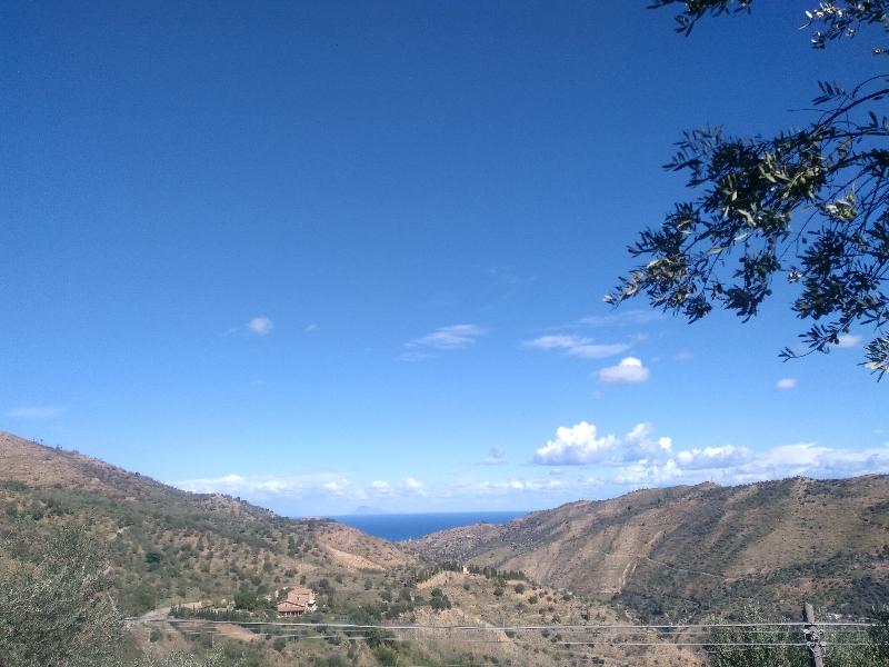 Agriturismo L'Uliveto - Teras
