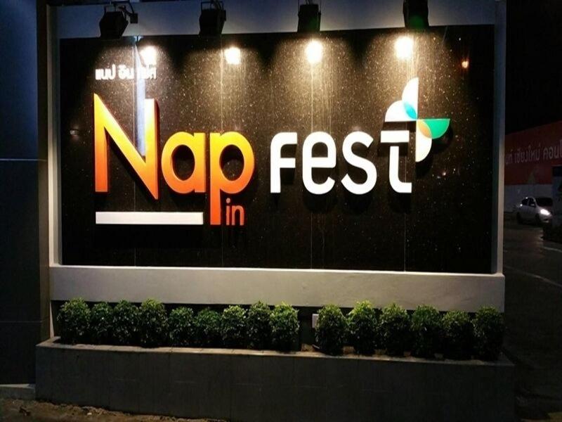 Nap In Fest - Genel