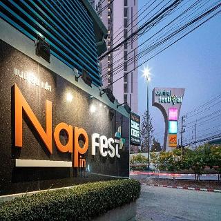 Nap In Fest fotoÄŸrafÄ±