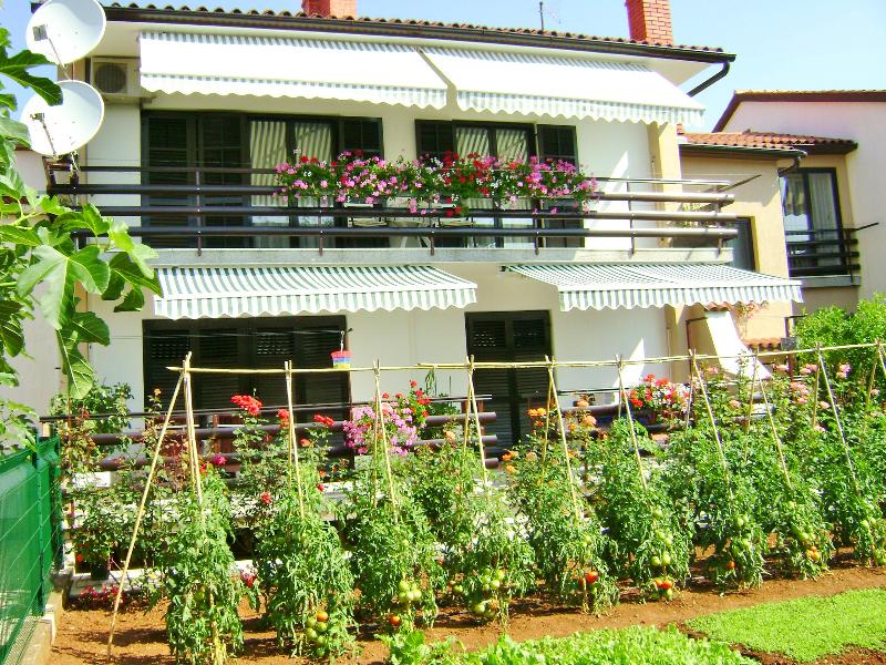 Apartments Miljenko - Genel