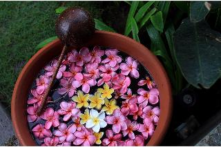 Pinkcoco Gili air fotoÄŸrafÄ±