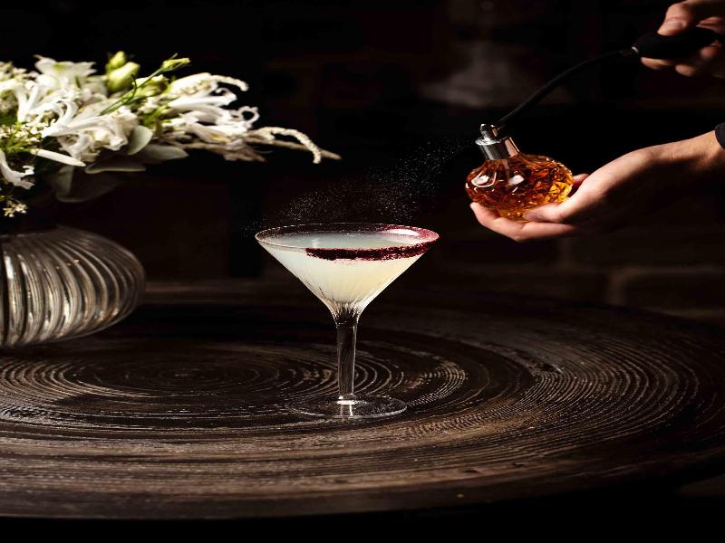 Balthazar Hôtel & Spa Rennes - Mgallery - Bar