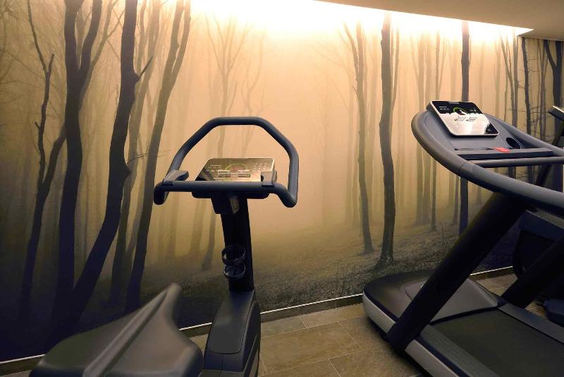 Balthazar Hôtel & Spa Rennes - Mgallery - Toplantı