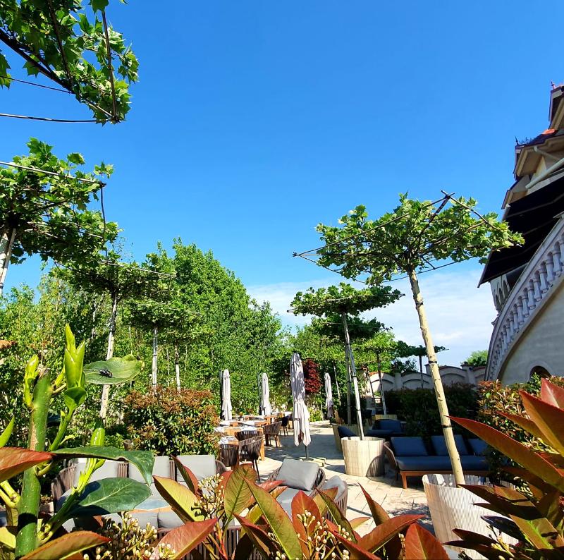 Suter Palace Heritage Boutique Hotel - Teras