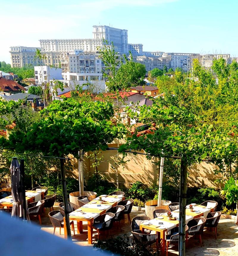 Suter Palace Heritage Boutique Hotel - Teras