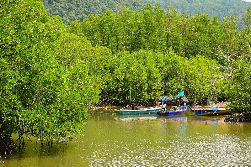 Amantra Lake View Resort - Genel